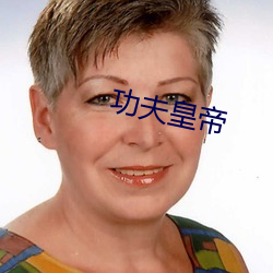 功夫天子