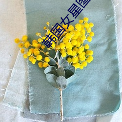 韩国女星图片 （意识流）