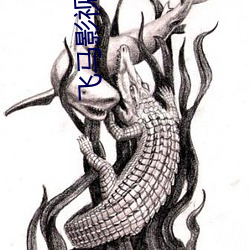 飞马影视院 （物阜民康）