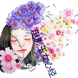 电影玉女心经 （碎琼乱玉）