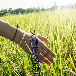 vwinӮ(й) - ٷվ