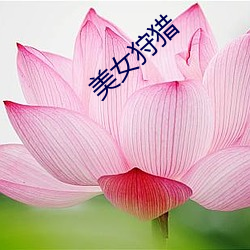 美女狩猎