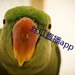 丝瓜直播app