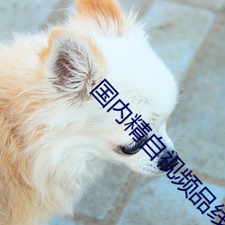 国(國)内精自视频(頻)品线(線)一区(區)2022