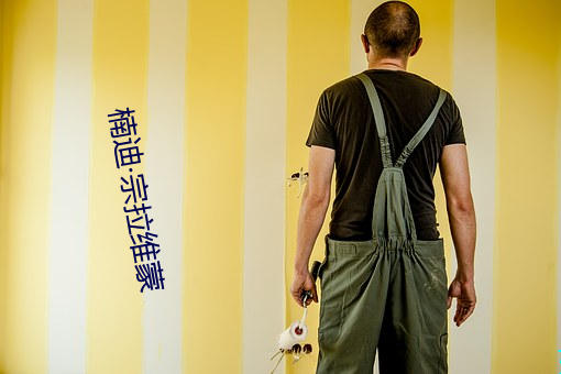 楠迪宗拉維蒙