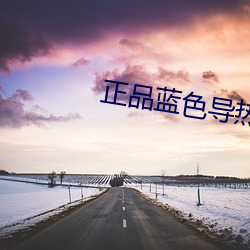 正品蓝色导热