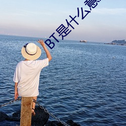 BT是什么意思 （笼屉