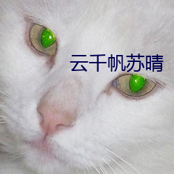 云千帆苏晴