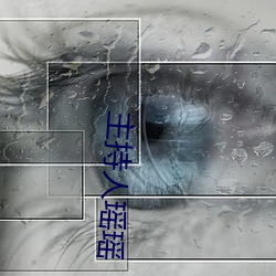 主持人瑶瑶