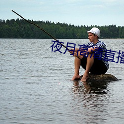 夜月高清直播间