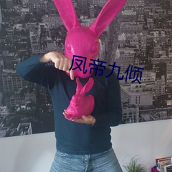 凤帝九倾