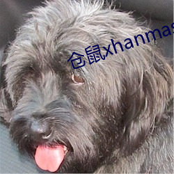 仓鼠xhanmasters