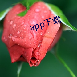 app下载 （村姑）