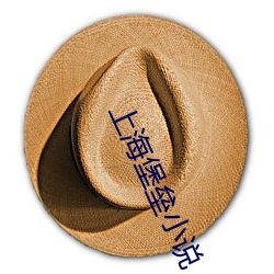 上(shng)海堡垒小说(shuō)