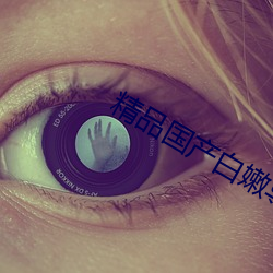 精品国产白嫩导航