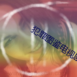 918博天堂·(中国)手机版客户端