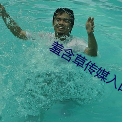 羞含草传媒入口