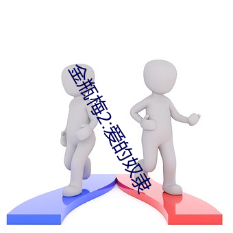 金(金)瓶梅(梅)2:爱的(的)奴隶