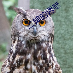 二嬸的誘惑