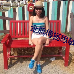 金瓶梅杨思敏 （绣球
