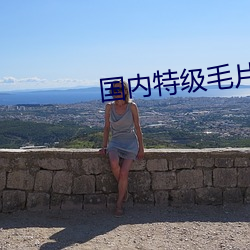 国内特级毛片AAAAA