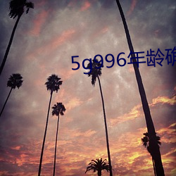 5g996年龄确认进入18 （风清月皎）