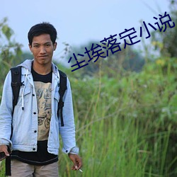 尘埃(āi)落定小(xiǎo)说