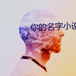 你的名字小說