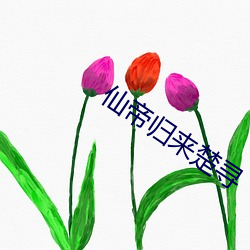 vwinӮ(й) - ٷվ