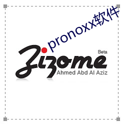 pronoxx软件(件)