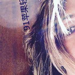91苹果轻量版官网(網)