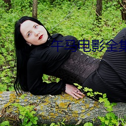午马电影全集