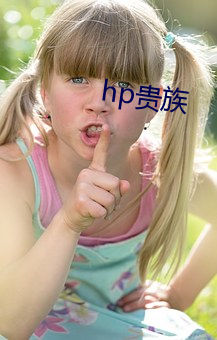 hp贵(guì)族