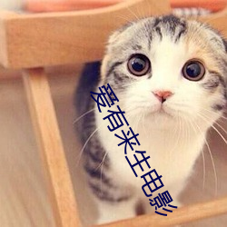 vwinӮ(й) - ٷվ