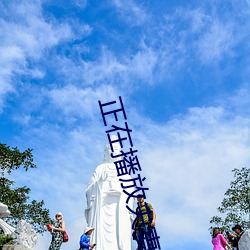正在播放夫妻(qī)