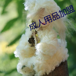 成人用品加盟
