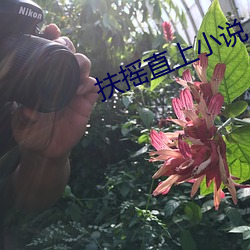 九游会登录j9入口 - 中国官方网站 | 真人游戏第一品牌