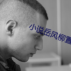 小說嶽風柳萱