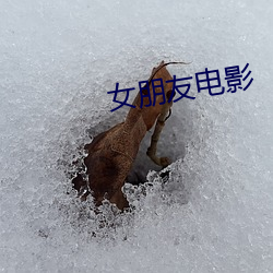 女朋侪影戏 （先入为主）