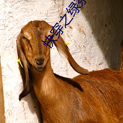 快穿之綠茶她千嬌百媚