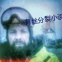 有丝分裂小说 （风流缊藉）