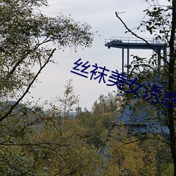 丝袜美女诱(yòu)惑
