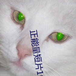 正能量短片10分钟 （越野车）