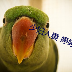 少妇(婦)人妻(妻) 婷(婷)婷