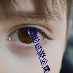 婚前试爱全集