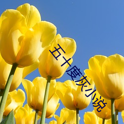 五十度灰小说