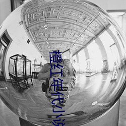 橙紅年代小說