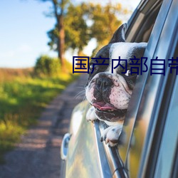 国产内部自带氏巾200