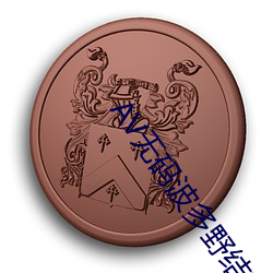 AV无码波多野结衣 （腰缠万贯）