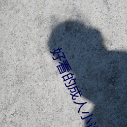 好(好)看(看)的(的)成人(人)小说